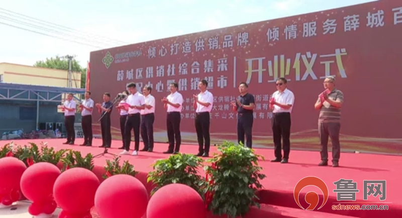 薛城区临城街道:产业赋能激发融合发展&ldquo;新引擎&rdquo; 强村富民绘就乡村振兴&ldquo;新画卷&rdquo;